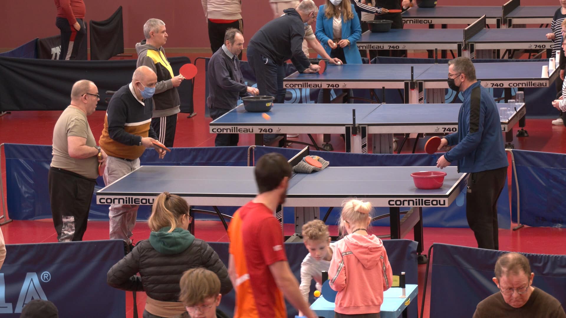 DUINIU 20 Tennis De Table, Tennis De Table En Plastique Givré