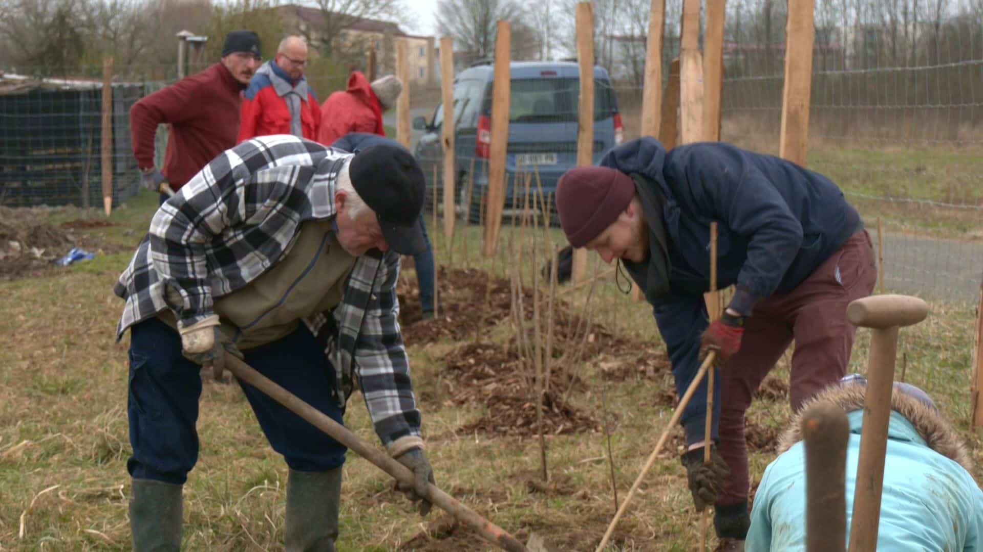 Biodiversité : 1 100 haies plantées à Théding - TV8 Moselle-Est