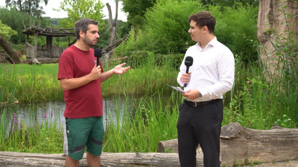 Quartiers d’été : dans les coulisses du zoo de Sarrebruck