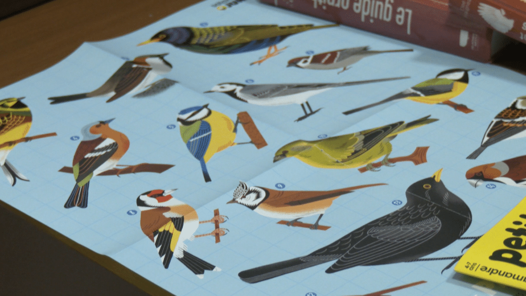 Théding : Un atelier pour nos amis à plumes