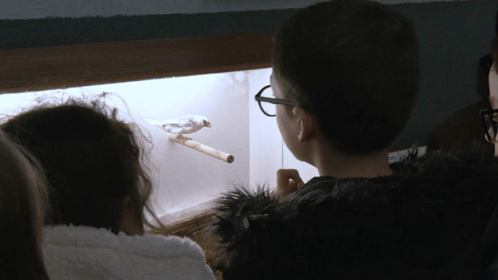 L’association Le Chanteur Fidèle sensibilise les élèves à la nature, à la faune et aux oiseaux