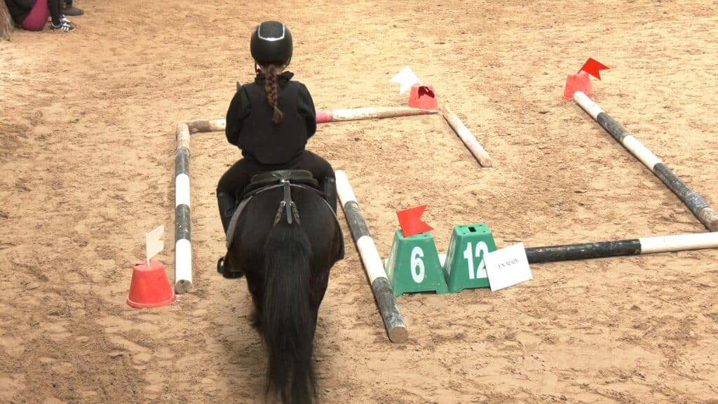 La Page Sportive: Le TREC, l’équitation grandeur nature et le Taekwondo, entre plaisir, confiance et self-défense
