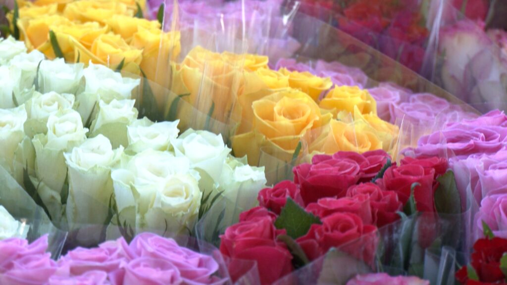 L’édition 2026 d’ Une Rose, Un Espoir se prépare