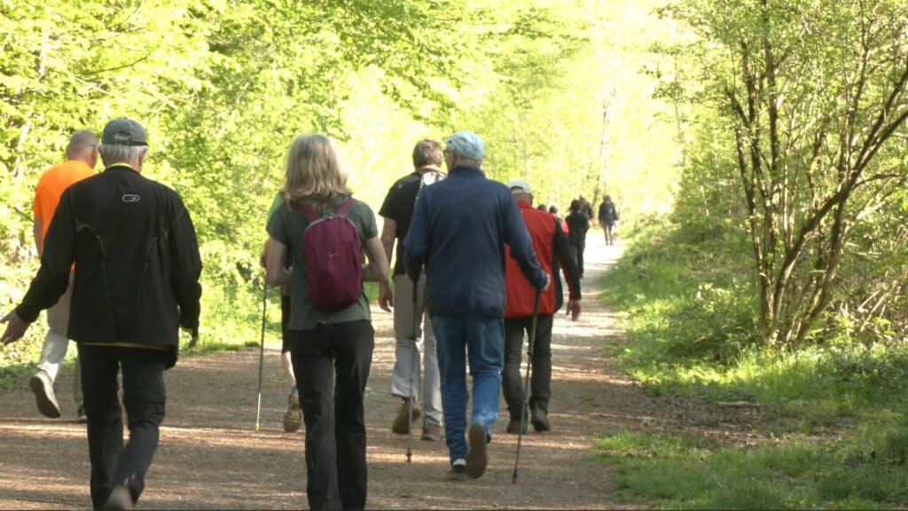 L’association Cœur et Santé de Saint-Avold a organisé son Parcours du Cœur