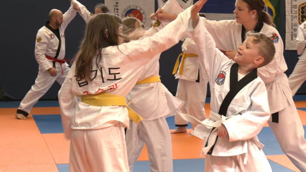 Hapkido : un séminaire international pour faire découvrir cet art martial coréen