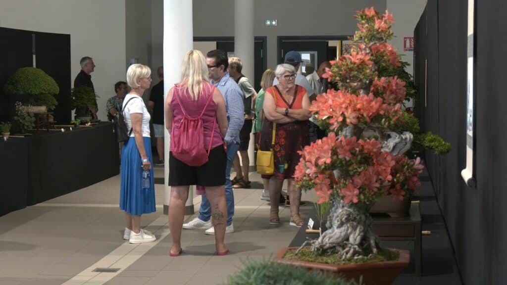 Le Salon du Bonsaï a pris racine à la Halle de Wendel