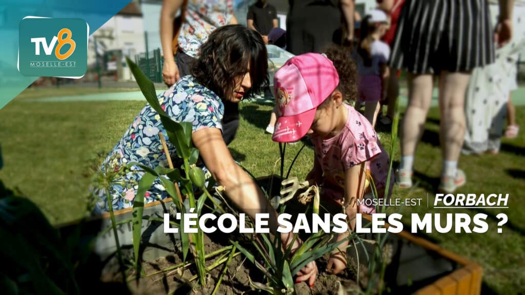 Maternelle de Bellevue : une première année de classe au grand air