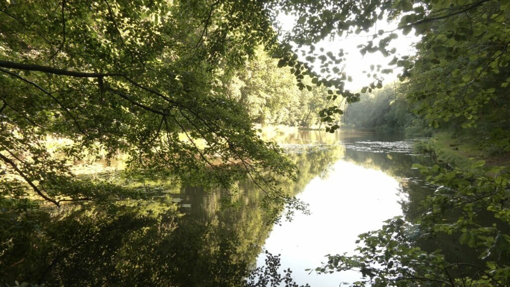 Petite-Rosselle : À la découverte de la vallée du Schafbach