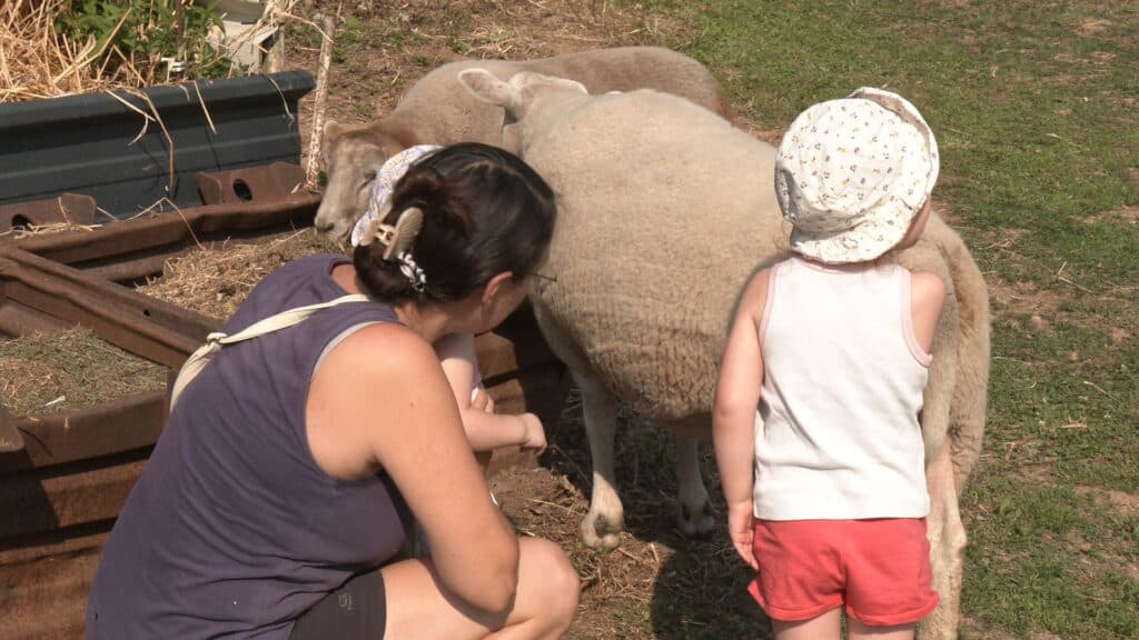 La ferme de la Petite Vallée ouvre ses portes au public