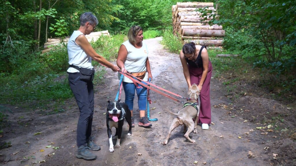 Chienne de vie : craquez pour Kyra et Byron