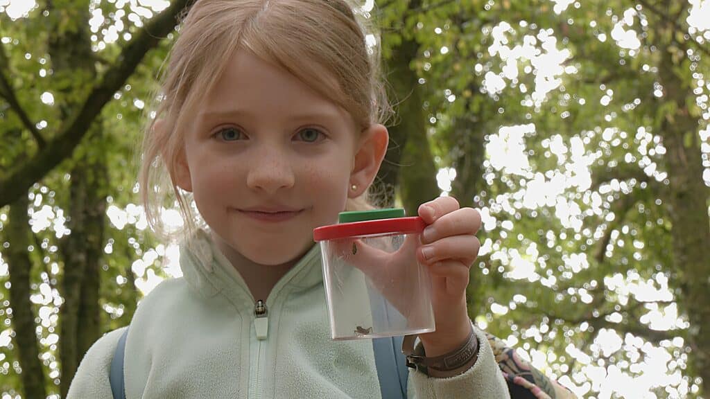 Unis pour la terre : À la recherche des petites bêtes