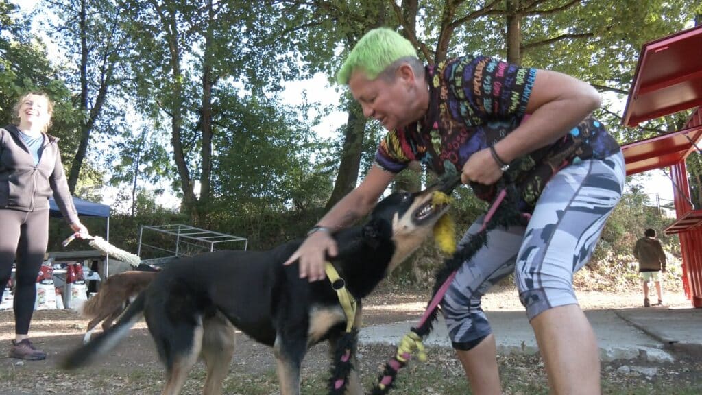 Concours canin Agility : 75 participants pour financer les jeunes