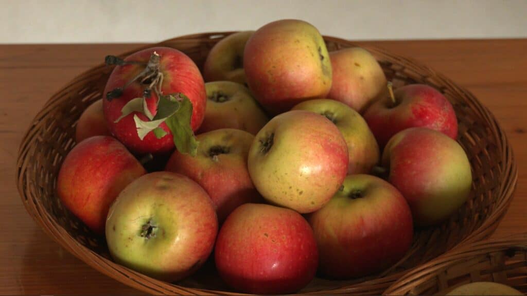 Cappel : Fête de la pomme
