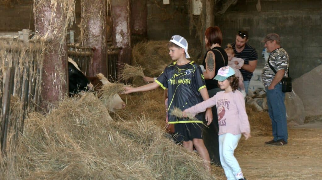 Journée portes ouvertes à la ferme Colline des Pies